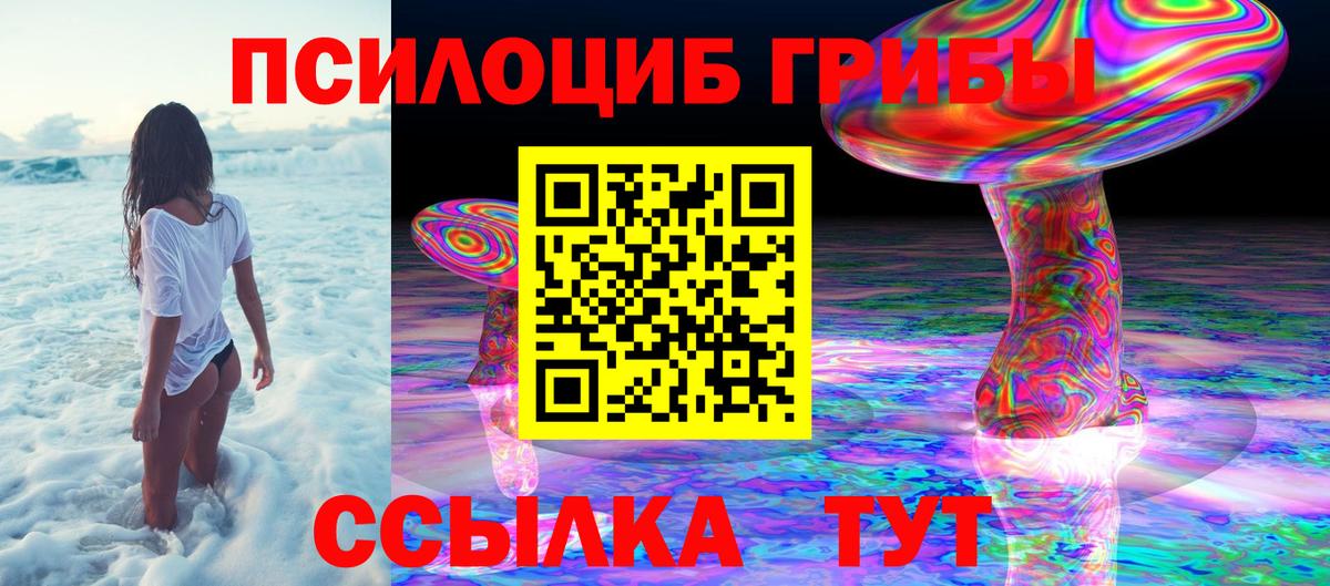 Псилоцибиновые грибы мухоморы Котовск