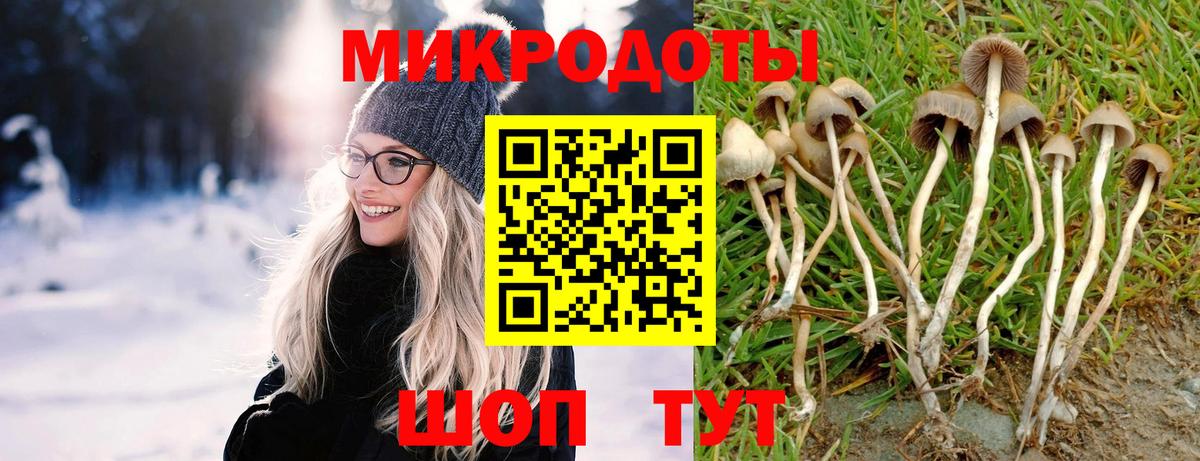 Галлюциногенные грибы ЛСД  Галлюциногенные грибы Cubensis  Котовск  Вход с VPN 
